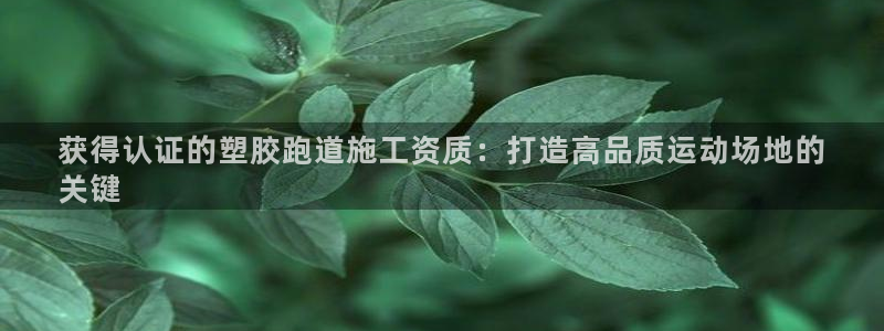 怎样能成为尊龙凯时平台的会员：获得认证的塑胶跑道施工资质：打造高品质运动场地的
关键