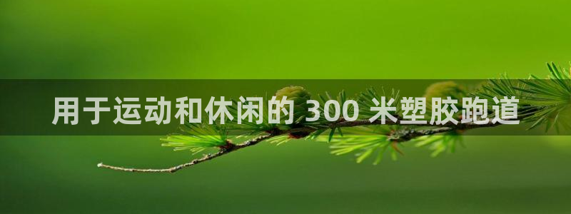 z6尊龙z6：用于运动和休闲的 300 米塑胶跑道