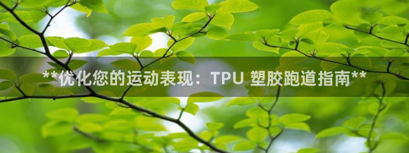 尊龙凯时 - 人生就是搏有假吗：**优化您的运动表现：TPU 塑胶跑道指南**