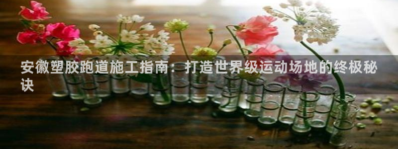 尊龙凯时不给提现怎么办：安徽塑胶跑道施工指南：打造世