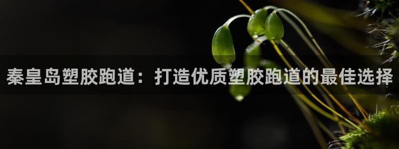 尊龙人生就是博官网登录手机：秦皇岛塑胶跑道：打造优质