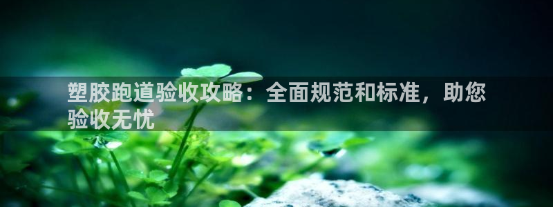 尊龙凯时出款：塑胶跑道验收攻略：全面规范和标准，助您