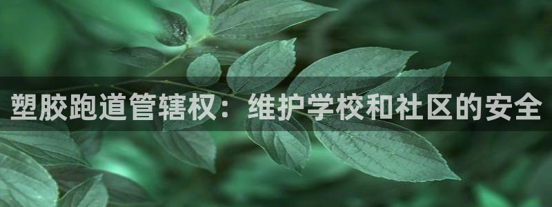 尊龙l1500：塑胶跑道管辖权：维护学校和社区的安全