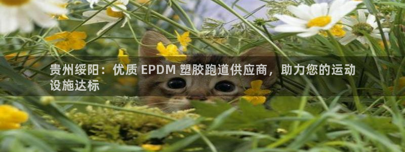 尊龙凯时怎么注销账号：贵州绥阳：优质 EPDM 塑胶跑道供应商，助力您的运动
设施达标